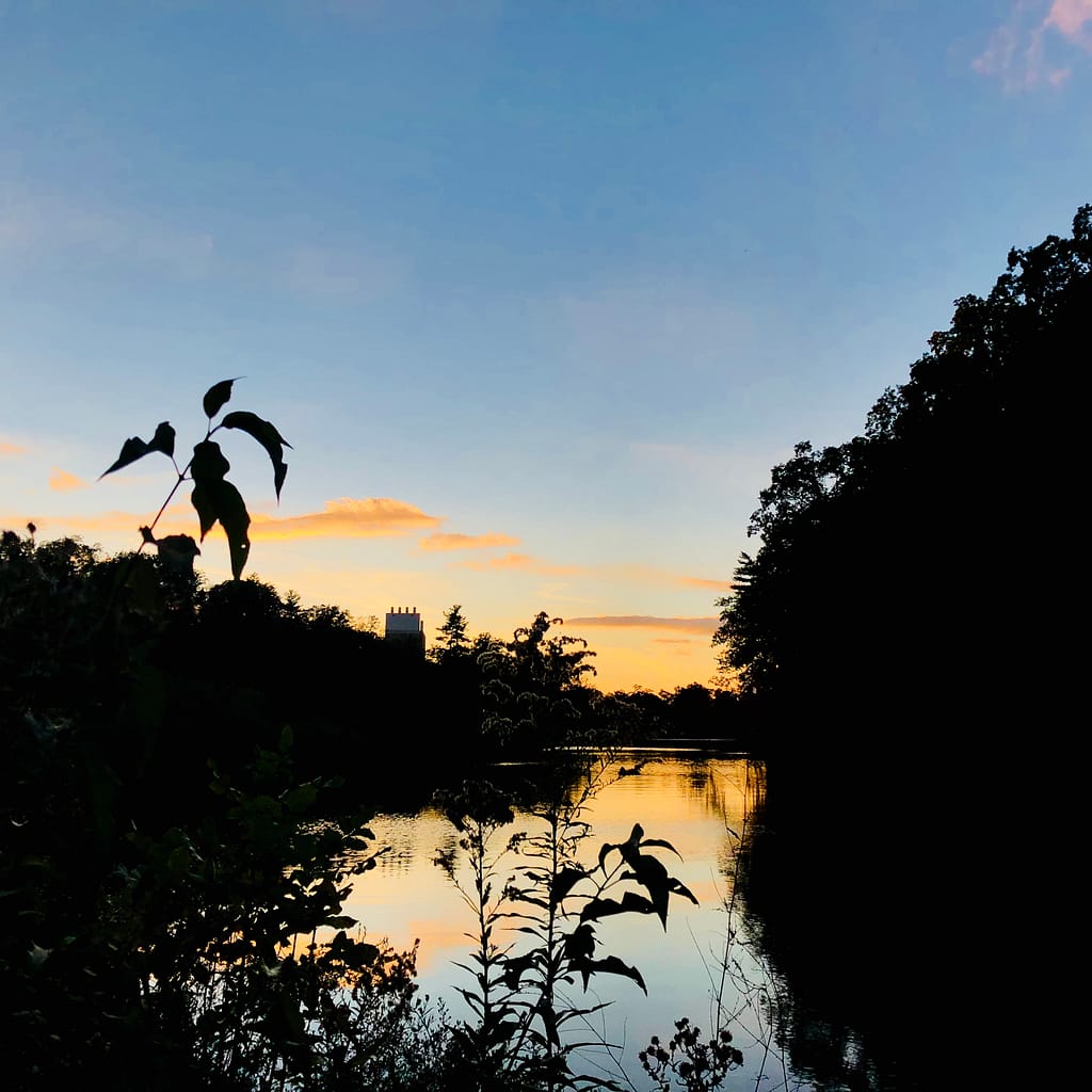 7D178090 F679 40E9 96AC B3B2D0F33491