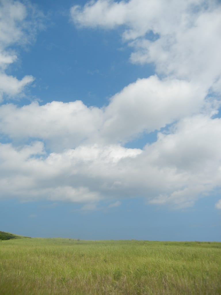 Coastal Plain I