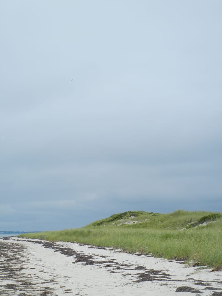 Uncertain Weather