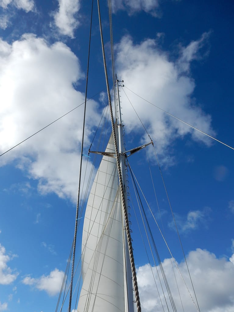 Rig